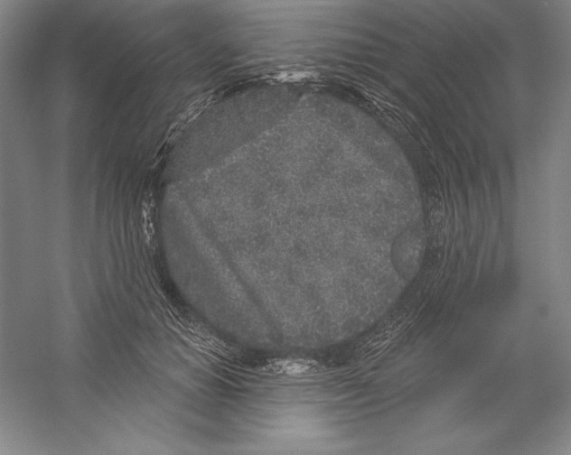 X0000059220654200511111523