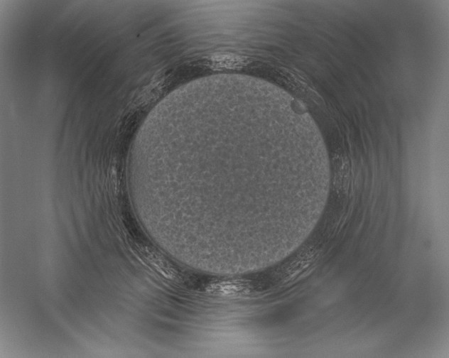 X0000059220655200511111523