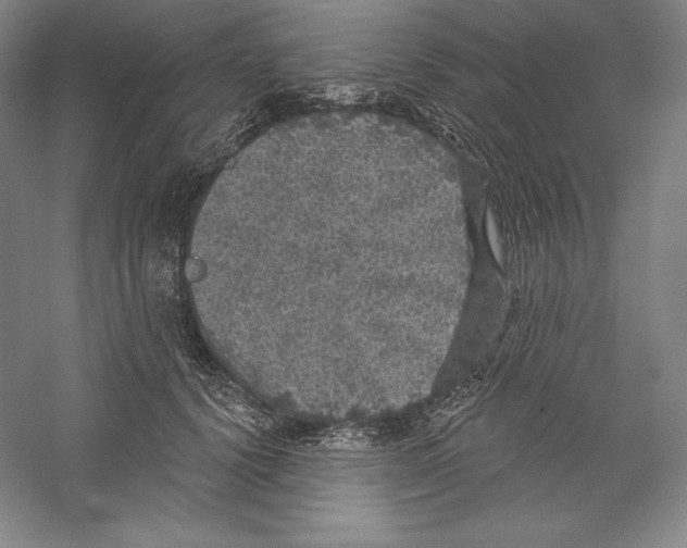 X0000059220656200511111523