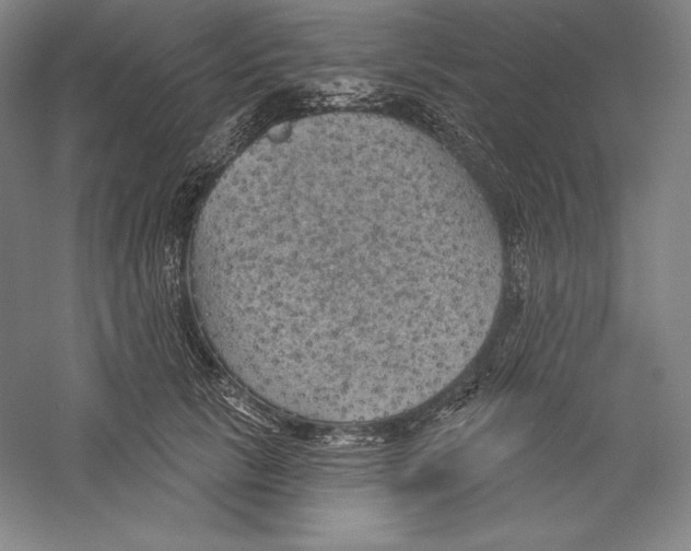 X0000059220657200511111523