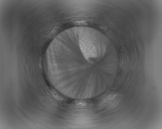 X0000059220658200511111523
