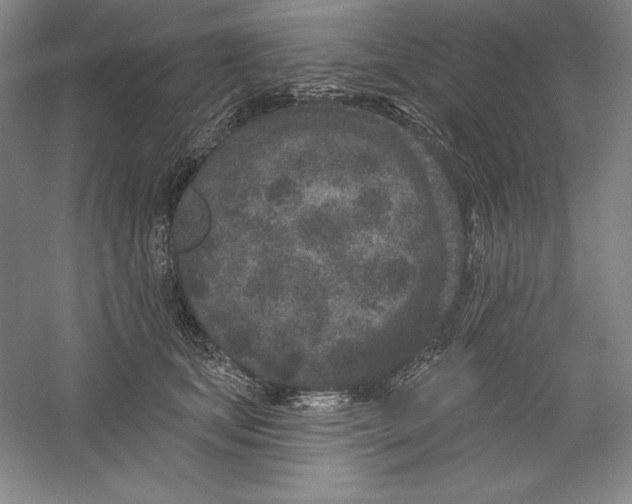 X0000059220659200511111523