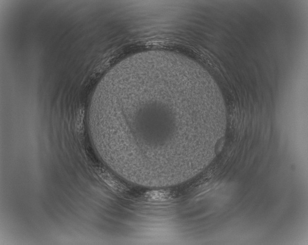 X0000059220660200511111523