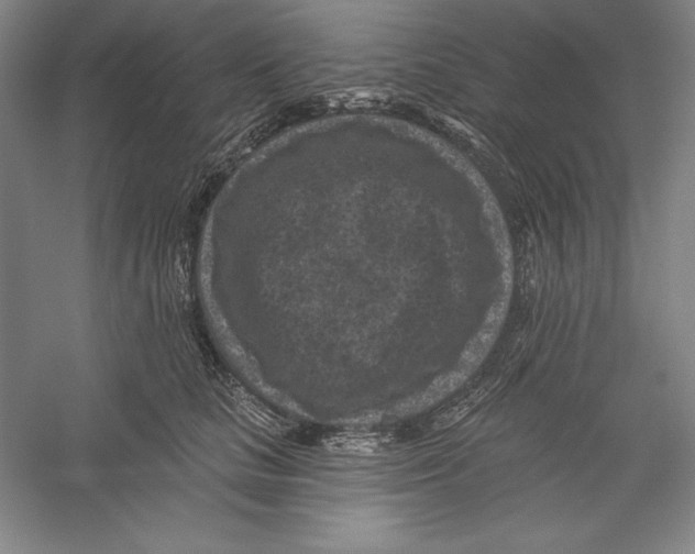 X0000059220661200511111523