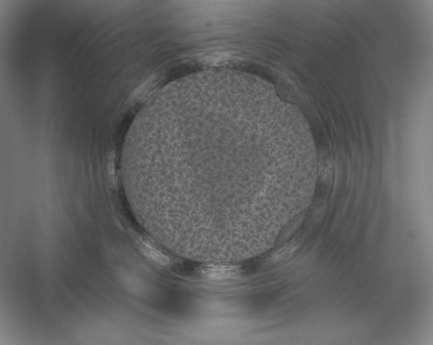 X0000059220670200511111523