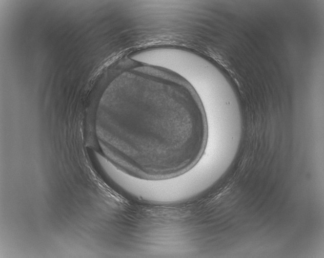 X0000059220681200511111522