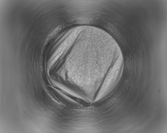 X0000059220682200511111522