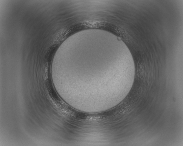 X0000059220694200511111522