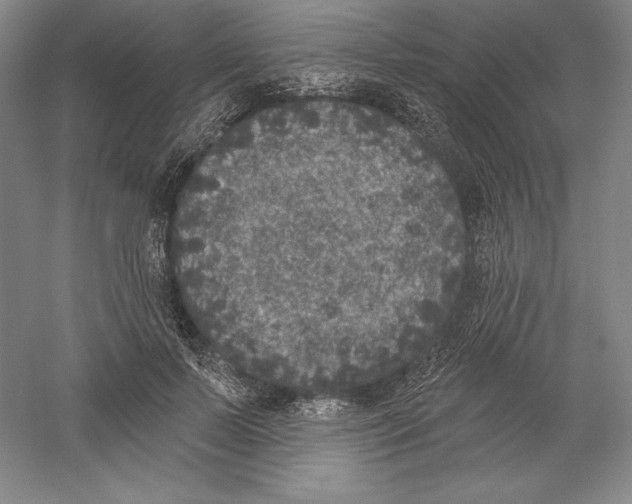 X0000059220695200511111522