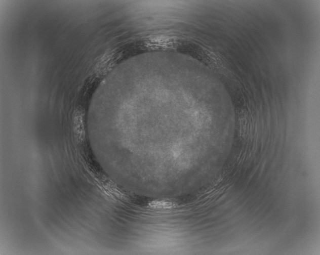 X0000059220699200511111522