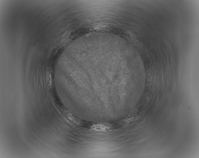 X0000059220703200511111522