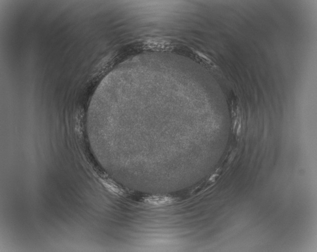 X0000059220712200511111522