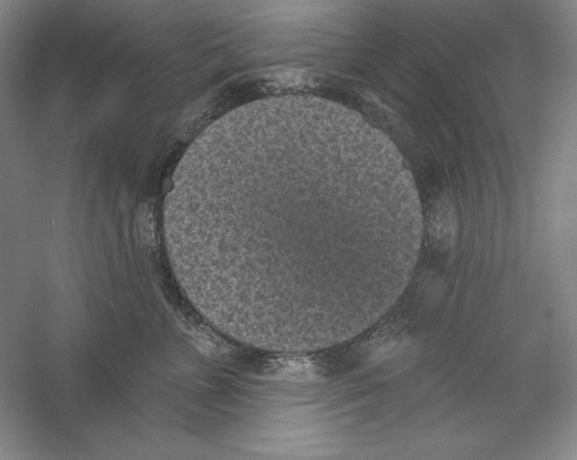 X0000059220715200511111522