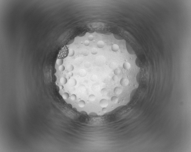 X0000059220717200511111522