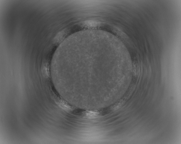 X0000059220718200511111522