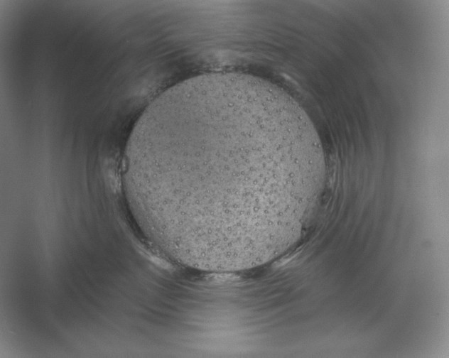 X0000059220719200511111522