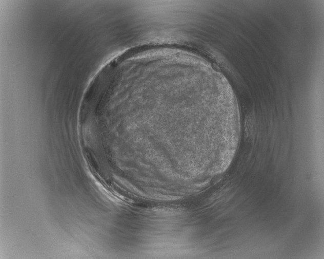X0000059220722200511111521