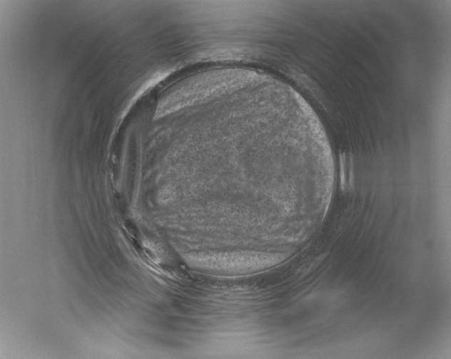 X0000059220723200511111521
