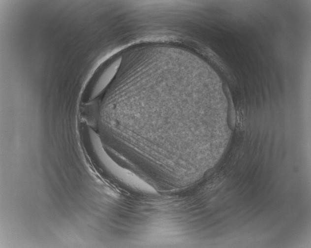 X0000059220724200511111521