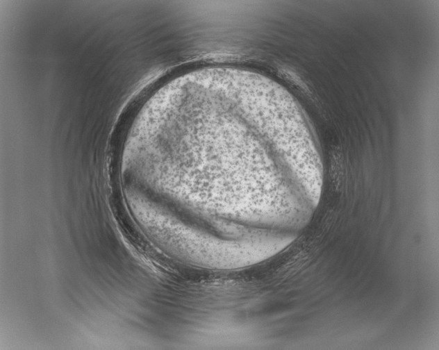 X0000059220730200511111521