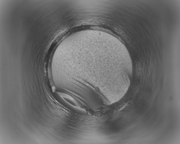 X0000059220731200511111521