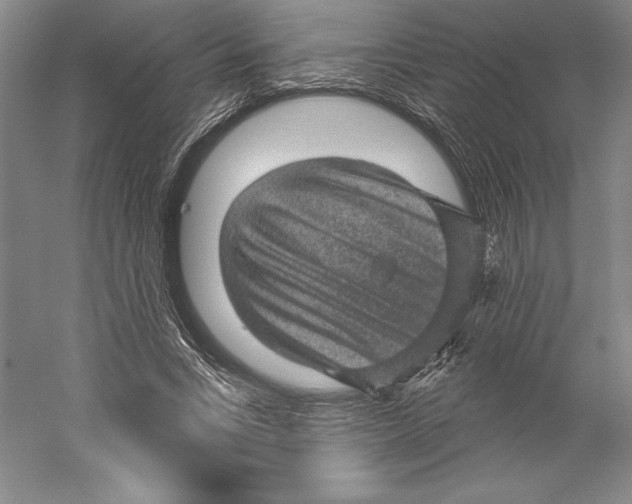 X0000059220735200511111521