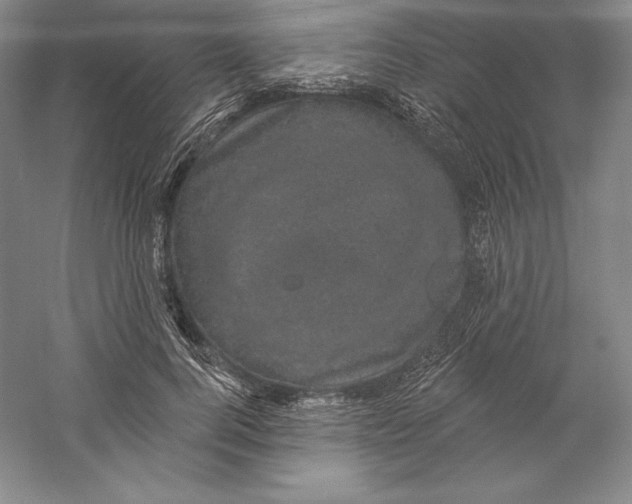 X0000059220744200511111521