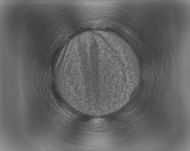 X0000059220748200511111521