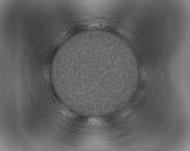 X0000059220753200511111521
