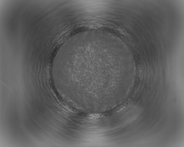X0000059220757200511111521