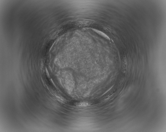 X0000059220759200511111521