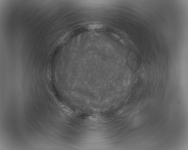 X0000059220763200511111521
