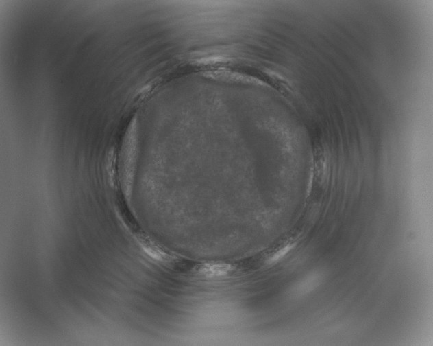 X0000059220767200511111521