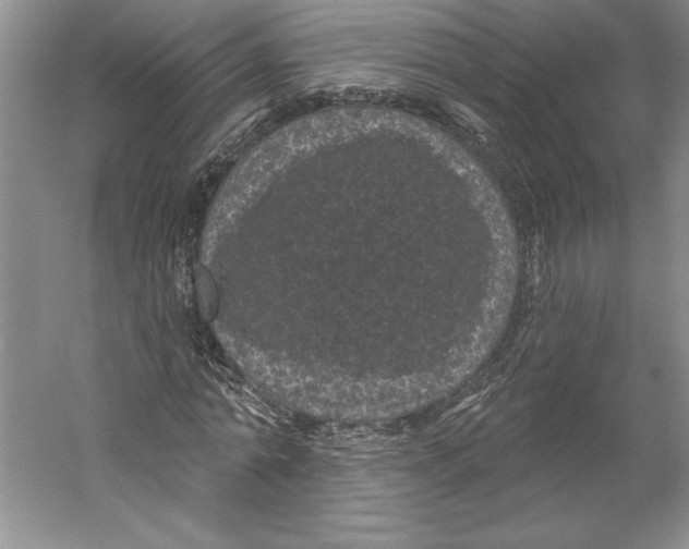 X0000059220774200511111521
