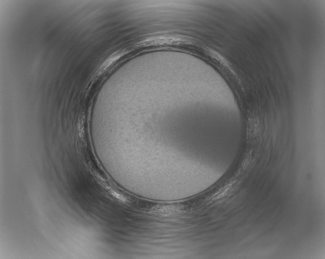 X0000059220778200511111521