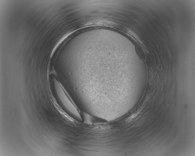X0000059220788200511111520