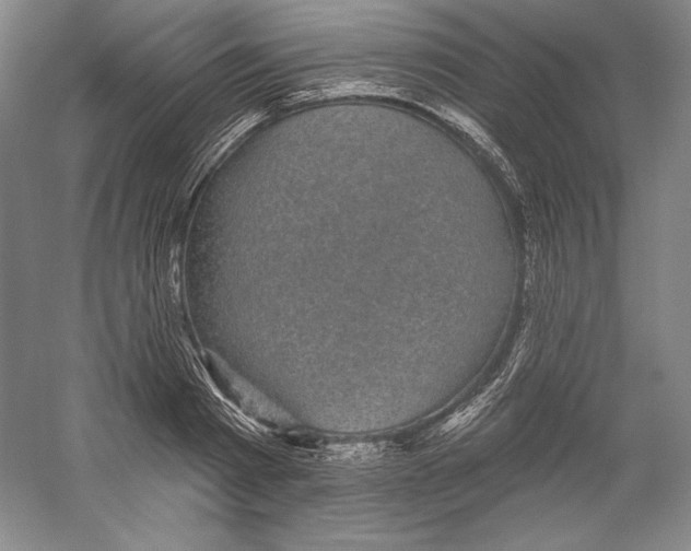 X0000059220793200511111520