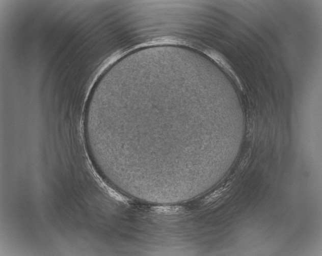 X0000059220805200511111520