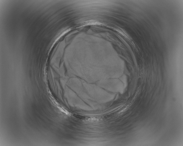 X0000059220806200511111520