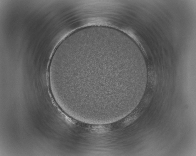 X0000059220807200511111520