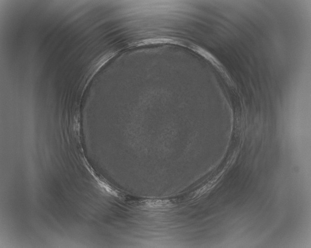 X0000059220809200511111520