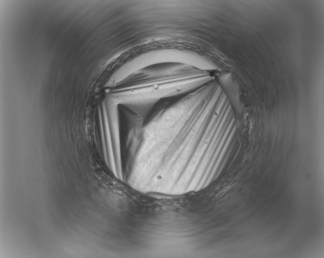 X0000059220822200511111519