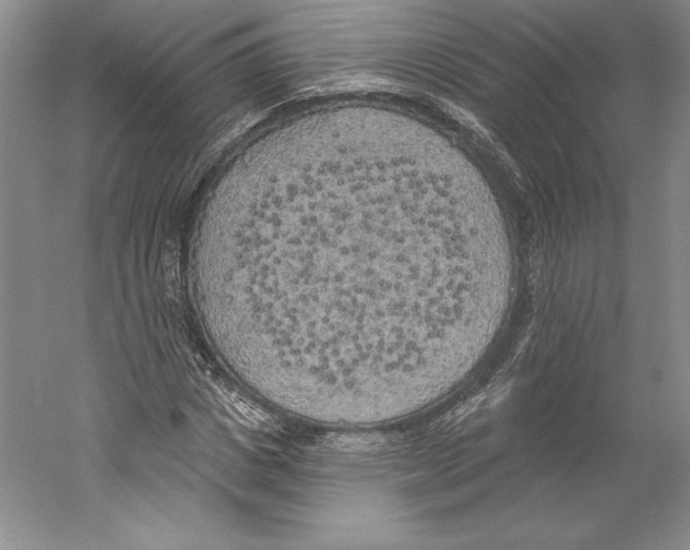 X0000059220825200511111519