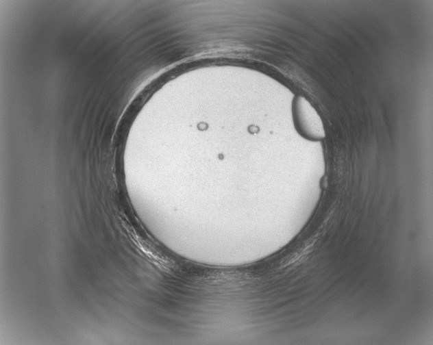 X0000059220830200511111519