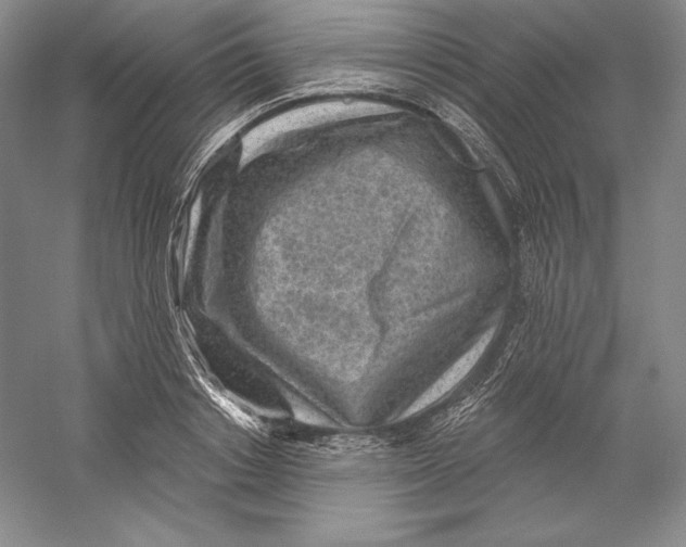 X0000059220842200511111519