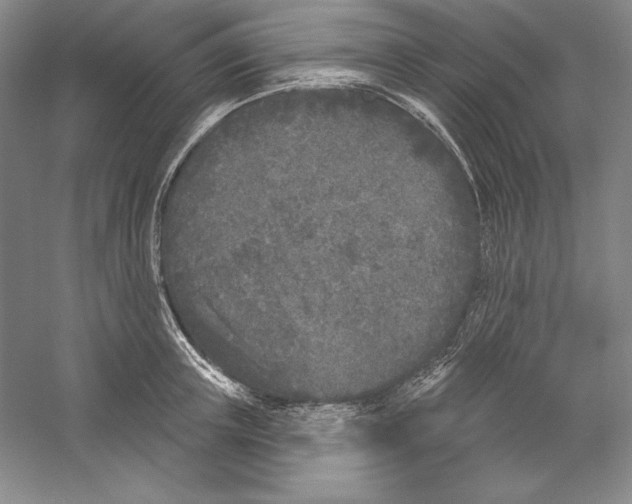 X0000059220851200511111520