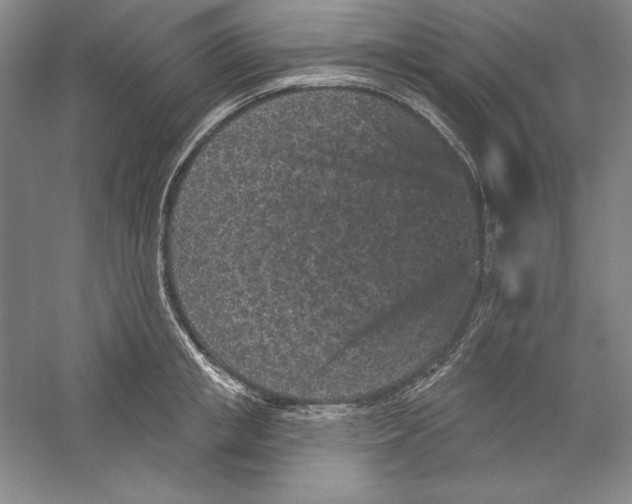 X0000059220853200511111520