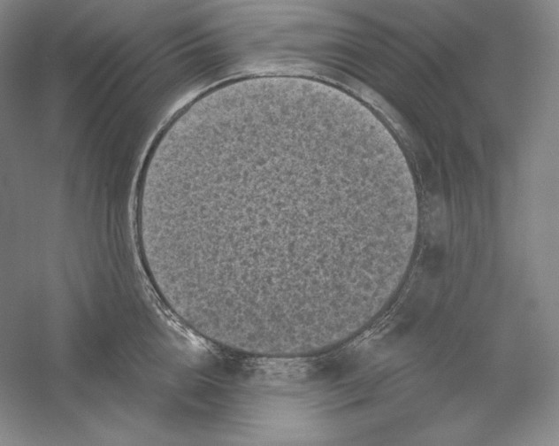 X0000059220856200511111520