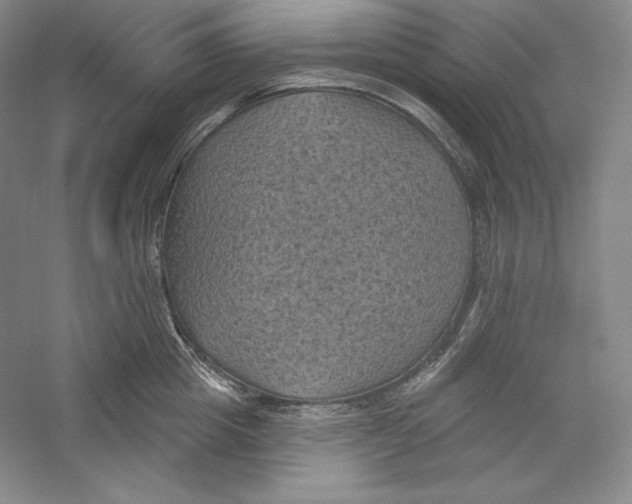 X0000059220857200511111520