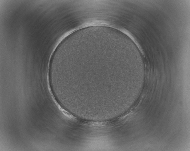 X0000059220861200511111520